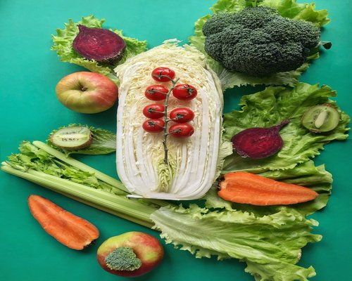 Balanced meal plan visualization with vegetables